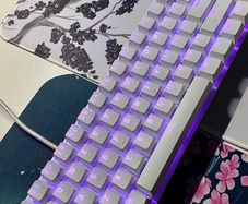 Full gaming setup