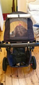 uppa baby vista