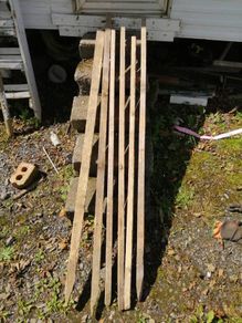 pegs