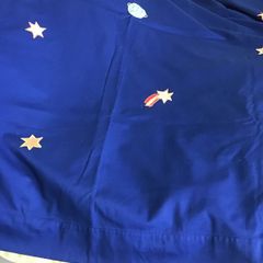 NEXT Curtains - Child Room