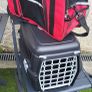 cat / kitten package Image 8