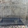 animal crate Image 2