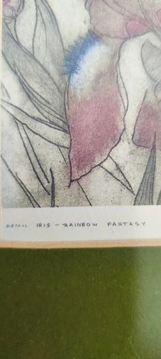 FRAMED DETAIL IRIS RAINBOW FANTASY penceled and coloered signed by artist .