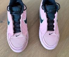 Nike LeBron James basketball shoes