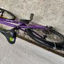 Frog Bike Image 4