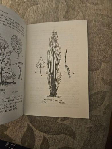 Trees by Margaret Kent, published in 1948 as part of The Children's Nature Series. [1]  Title: Trees  Author: Margaret Kent  Publisher: George G. Harrap  Date: 1948  First edition paperback in good condition.  See photos for same.