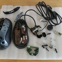 mouse