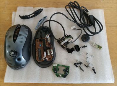 mouse