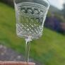 Rare Set of Six Antique Edwardian High Quality Hand-Blown, Hand-Etched and Hand-Cut Bohemian Glass Liqueur/Cordial Glasses, in the Original Pall Mall Lady Hamilton Pattern, Circa 1900 Image 9
