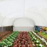 Large Tunnel Greenhouse19.5 x 9.8ft Image 3