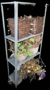 shed shelves