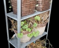shed shelves