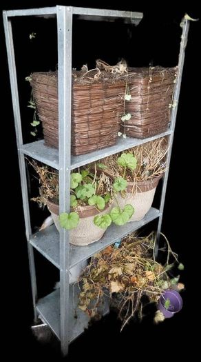 shed shelves