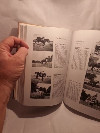 Give Your Horse a Chance (Allen's Classic Series) (Hardcover)  Lt. Col. A. L. D'Endrody