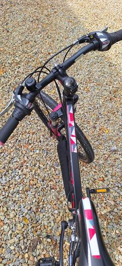 Carrera Luna 24 inch bike