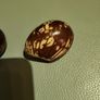 Tagua nuts Image 3