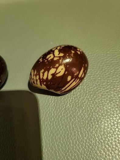 Tagua nuts