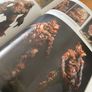 Art of the Last of Us Image 7