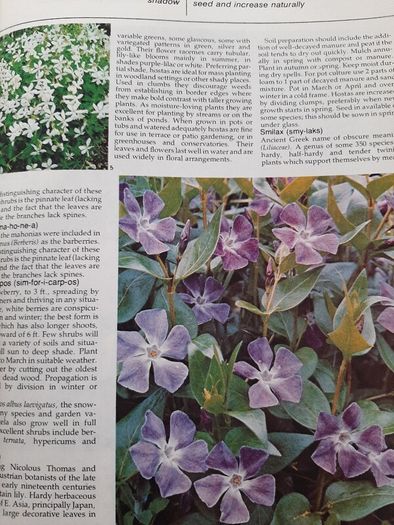 vintage new book flowers for everywhere 1974