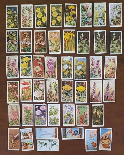 Vintage Wills Cigarette Cards - Wild Flowers & Garden Hints