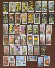 Vintage Wills Cigarette Cards - Wild Flowers & Garden Hints