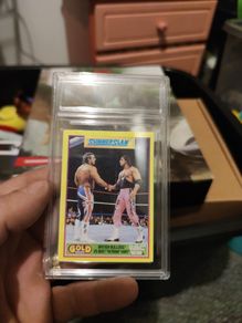 1992 Merlin Gold Bret Hart Vs British Bulldog Wrestling Card WWF Summer Slam  92