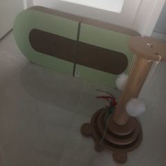 Two Scratching Posts for Sale