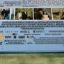 Darling Companion Region A Blu Ray Steelbook Kevin Kline Image 3