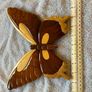 wooden handcrafted wall decor Image 4