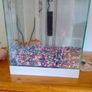 Fish tank Image 2