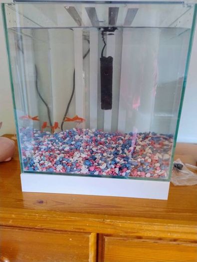 Fish tank