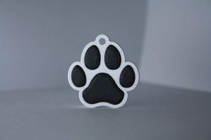 Personalised 3D Printed NFC Smart Pet Tag / Keychain