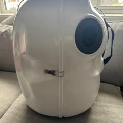 Saxophone mute