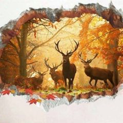 Wall Stickers Decal, House, Home Decor, Kitchen, Hall, Bedroom Decoration, Cafe Decoration