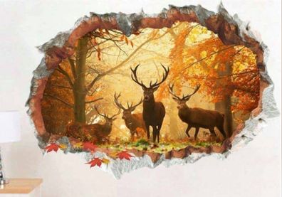 Wall Stickers Decal, House, Home Decor, Kitchen, Hall, Bedroom Decoration, Cafe Decoration