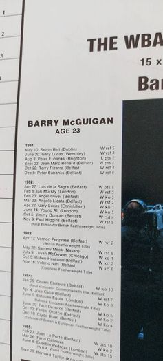 2 x boxing programmes,, Barry mcguigan fight 15th February 1986  R.D.S dublin ,and Steve Collins fight,9 September 1995 Cork, , 2 x irish boxing champions,,2 x legends of irish boxing...