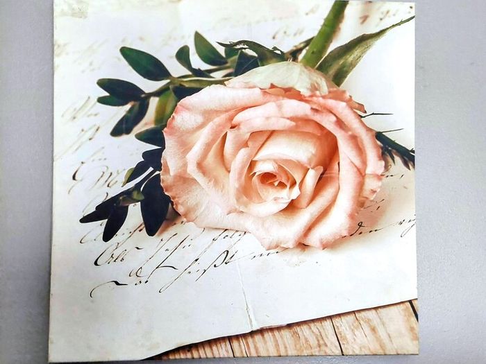 Pretty Acrylic Painting as in photos