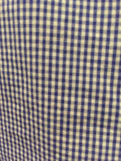 Scotch & Soda Blue Check Shirt with white collar