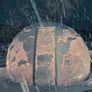 Garden Dome SALE!! Image 8