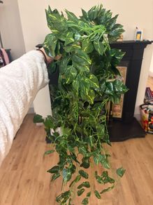 Artificial vine