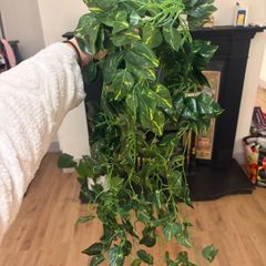 Artificial vine