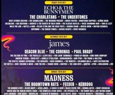Forest Fest - Weekend Ticket