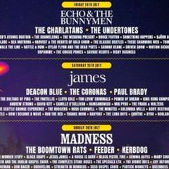 Forest Fest - Weekend Ticket