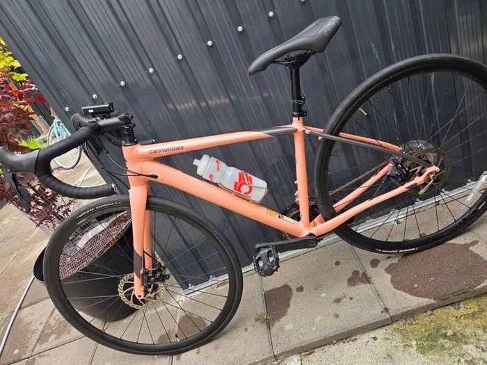 ladies bike