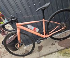 ladies bike