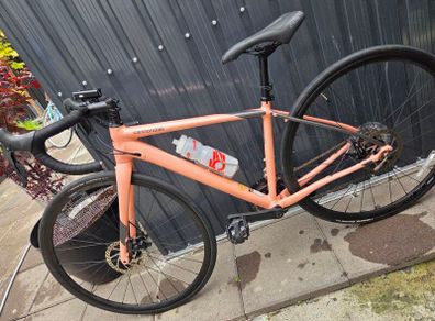 ladies bike