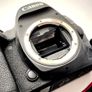 Canon Eos 5d Mark Iv Image 4