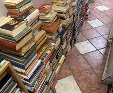 German Language Books. Small Private Library. Large Collection. History. Literature etc.
