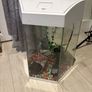 Fish tank Image 2