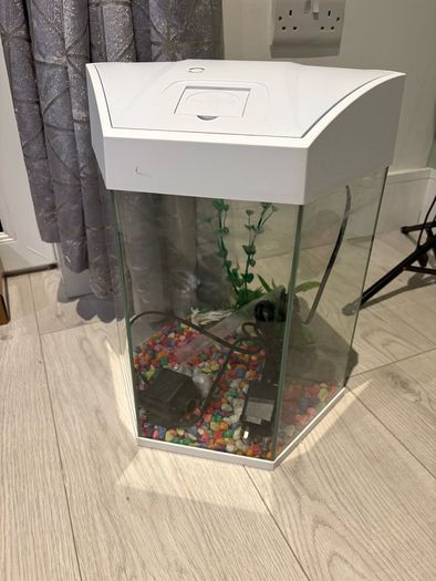 Fish tank
